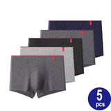 5 Pcs Men's Boxer Cotton Calzoncillos Hombre Underpants Lingerie Lots Boxershorts Majtki Meskie Panties Underwear Mart Lion TWK004-5pcs Asia L(40-55kg) 
