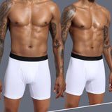 Men's Boxers Lingerie Boxer Briefs Long Bokserki Meskie Underwear Ropa Interior Hombre Underpants Cotton Panties Shorts Mart Lion   