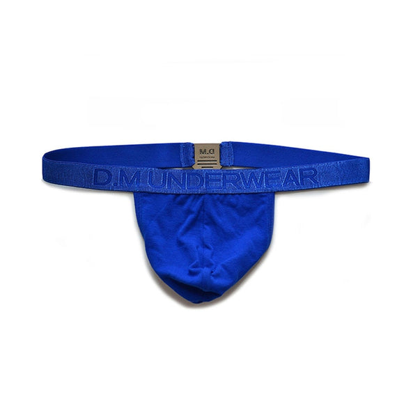 Gay Men's Underwear Lingerie Metal Tangas T-Back Temptation Ropa Interior Para Hombre Solid Jockstrap String Homme Slip Mart Lion Blue M 