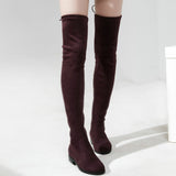 Slim Fit Thighs Over-the-Knee Long Boots Women Low Heel Concise Elastic Boots Retro Shoes Ladies Mart Lion   