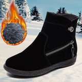 Winter Women's Snow Boots Suede Thick-Soled Ankle Non-Slip Plus Velvet Warmth Ladies Casual Martin Mart Lion Black 2 4.5 