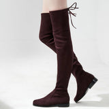 Slim Fit Thighs Over-the-Knee Long Boots Women Low Heel Concise Elastic Boots Retro Shoes Ladies Mart Lion   