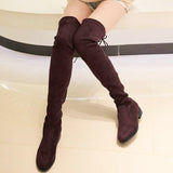 Slim Fit Thighs Over-the-Knee Long Boots Women Low Heel Concise Elastic Boots Retro Shoes Ladies Mart Lion   