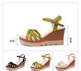 Platform Sandals Women Shoes Summer Open Head High Heels Wedges Ladies Casual Beach MartLion   