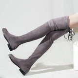 Slim Fit Thighs Over-the-Knee Long Boots Women Low Heel Concise Elastic Boots Retro Shoes Ladies Mart Lion   