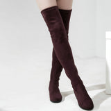 Slim Fit Thighs Over-the-Knee Long Boots Women Low Heel Concise Elastic Boots Retro Shoes Ladies Mart Lion   