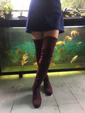 Slim Fit Thighs Over-the-Knee Long Boots Women Low Heel Concise Elastic Boots Retro Shoes Ladies Mart Lion   