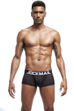 4PCS/Lot Boxer Men's Mesh Breathable Men's Underwear Shorts Panties Boxer Underpants MartLion   