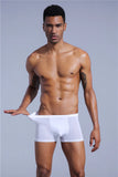 men's transparent underwear boxer Shorts Trunks ice silk Male panties underpants Gay underwear penis MartLion   