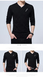 Men's Casual T-shirt Slim Long Sleeve V Neck Fitness Tops Homme Boyfriend Gift Harajuku Streetwear Mart Lion   