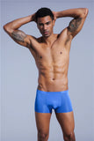 men's transparent underwear boxer Shorts Trunks ice silk Male panties underpants Gay underwear penis MartLion   