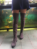 Slim Fit Thighs Over-the-Knee Long Boots Women Low Heel Concise Elastic Boots Retro Shoes Ladies Mart Lion   