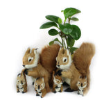 19*18cm 2 Size Stuffed Toys Lovely Squirrel Simulation Animal Stuffed Plush Toy Kids Toy Decorations Birthday Gift For Children MartLion   