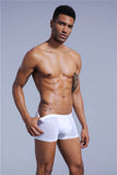 men's transparent underwear boxer Shorts Trunks ice silk Male panties underpants Gay underwear penis MartLion   