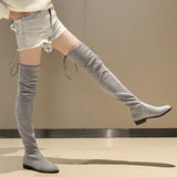 Slim Fit Thighs Over-the-Knee Long Boots Women Low Heel Concise Elastic Boots Retro Shoes Ladies Mart Lion   