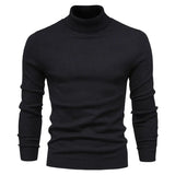  10 Color Winter Men's Turtleneck Sweaters Warm Black Slim Knitted Pullovers Solid Color Casual Sweaters Autumn Knitwear MartLion - Mart Lion