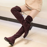 Slim Fit Thighs Over-the-Knee Long Boots Women Low Heel Concise Elastic Boots Retro Shoes Ladies Mart Lion   