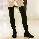 Slim Fit Thighs Over-the-Knee Long Boots Women Low Heel Concise Elastic Boots Retro Shoes Ladies Mart Lion   