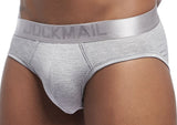 Men's Briefs Underwear Breathable Underpants Modal Shorts Cueca Gay Panties Mart Lion Gray M 