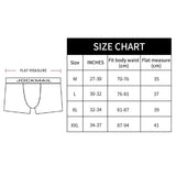 4PCS Boxer Panties Men's Underwear Boxershorts Ropa Interior Hombre Calzoncillos Breathable Hombre Modal Cuecas Mascilinas Mart Lion   