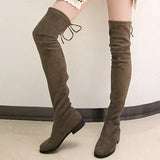 Slim Fit Thighs Over-the-Knee Long Boots Women Low Heel Concise Elastic Boots Retro Shoes Ladies Mart Lion   