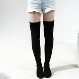 Slim Fit Thighs Over-the-Knee Long Boots Women Low Heel Concise Elastic Boots Retro Shoes Ladies Mart Lion   