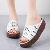 Summer Women Chunky Sandals Ladies Hollow Slippers Casual Sandals Slip On Lady Slides Platform Wedge Heel Slippers Zapatos Mujer MartLion   