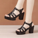 8cm Genuine Leather Shoes Gladiator Sandals Summer Women Block High Heels Platform Office MartLion   