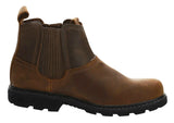 Spring Autumn Men's Boots Retro Men Chelsea Leather Ankle Zapatos Mart Lion   