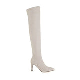  Women Nude Over-the-Knee Stretch Boots Ladies Autumn Winter High-heeled Dress Shoes Slim Leg Long MartLion - Mart Lion