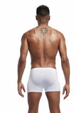 5Pcs/lot Men's Underwear Boxers Modal Boxers Boxer Homme Panties MartLion   