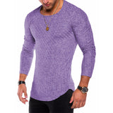 Men's Long-Sleeved Pit Strip  Stitching Arc Hem Bottoming Shirt Round Neck T-Shirt Hot Style Mart Lion Purple S 
