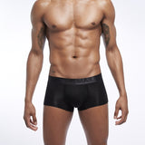 4PCS Boxer Panties Men's Underwear Boxershorts Ropa Interior Hombre Calzoncillos Breathable Hombre Modal Cuecas Mascilinas Mart Lion   