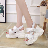 Platform Shoes Women's Sandals Wedge Heels Height Increaming Buckle Thick Soled Beach Sport Black Mart Lion white 01 34 