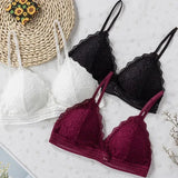 Lace Embroidery Bra Women  Underwear Brassiere Stretch Seamless Push Up Lingerie MartLion   