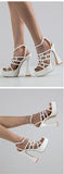  Liyke Hollow Out Open Toe 13.5CM Sandals Women Summer Buckle Strap Strange High Heels Chunky Platform Shoes Mart Lion - Mart Lion