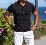Summer Men's Sports Fitness Leisure Stretch Vertical Short Sleeve Shirt Plain Shirt Golf Wear Mart Lion   