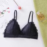 Triangle Cup Lace Bra without Steel Ring Halter Breathable Summer Ladies Underwear MartLion   