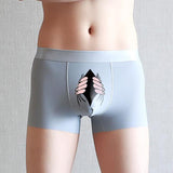 Funny Men's Boxer Panties Summer Ice Silk Underpants Breathable Briefs Bog Quick-Drying Boxershorts Cartoon Underwear Mart Lion light grey 2XL 
