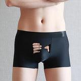 Funny Men's Boxer Panties Summer Ice Silk Underpants Breathable Briefs Bog Quick-Drying Boxershorts Cartoon Underwear Mart Lion Black 2XL 