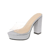 Open Toe Platform High Heels Sandals Women Transparent PVC Ankle Strap Ladies Summer Party Nightclub Shoes Pumps Mart Lion silver 35 