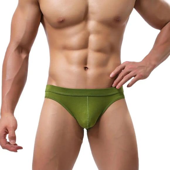 Underwear Men's Supersoft Modal Briefs Low Rise Underpants Briefs MartLion   