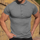 Summer Men's Sports Fitness Leisure Stretch Vertical Short Sleeve Shirt Plain Shirt Golf Wear Mart Lion Gray S 