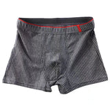 Men's Boxer Shorts With Seamless Waist  Underpants Plus Size Youth Shorts Man Panties MartLion   