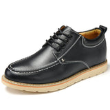 Classic Work Shoes Luxury Men's Casual Leather Shoes Driving Slip Platform Mart Lion Black 37 