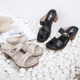 Summer Women Shoes High-heeled  Designer Sandals Platform Mart Lion   