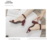 Summer Suede Chunky Heels Women High Heel Sandals Ankle Buckle Wedding Party Heeled Shoes 7cm 5cm Classic Mart Lion   