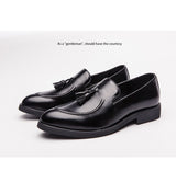 Men's Casual Shoes Leather Loafers Office Breathable Driving Moccasins Slip On Tassel Mart Lion   