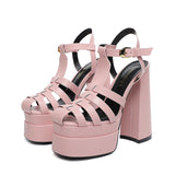 Gothic Thick Sole Sandals Women's Summer Slope Heel Open Toe Gladiator Shoes Hollow out High Heels MartLion Pink 38 