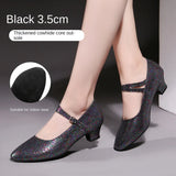 Sequined Modern Adult Latin Dance Ballroom Dance Shoes Women Practice Soft Sole High Heels MartLion   